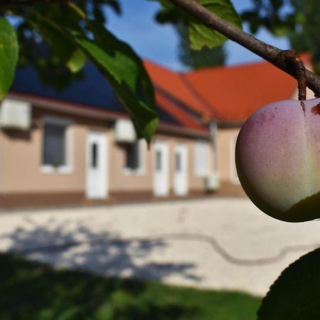 Napfeny Apartman Mako Luaran gambar